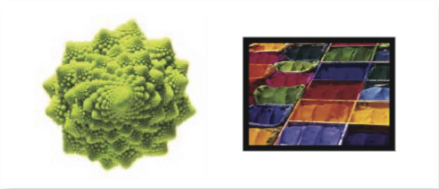 Organizzazione della realtà